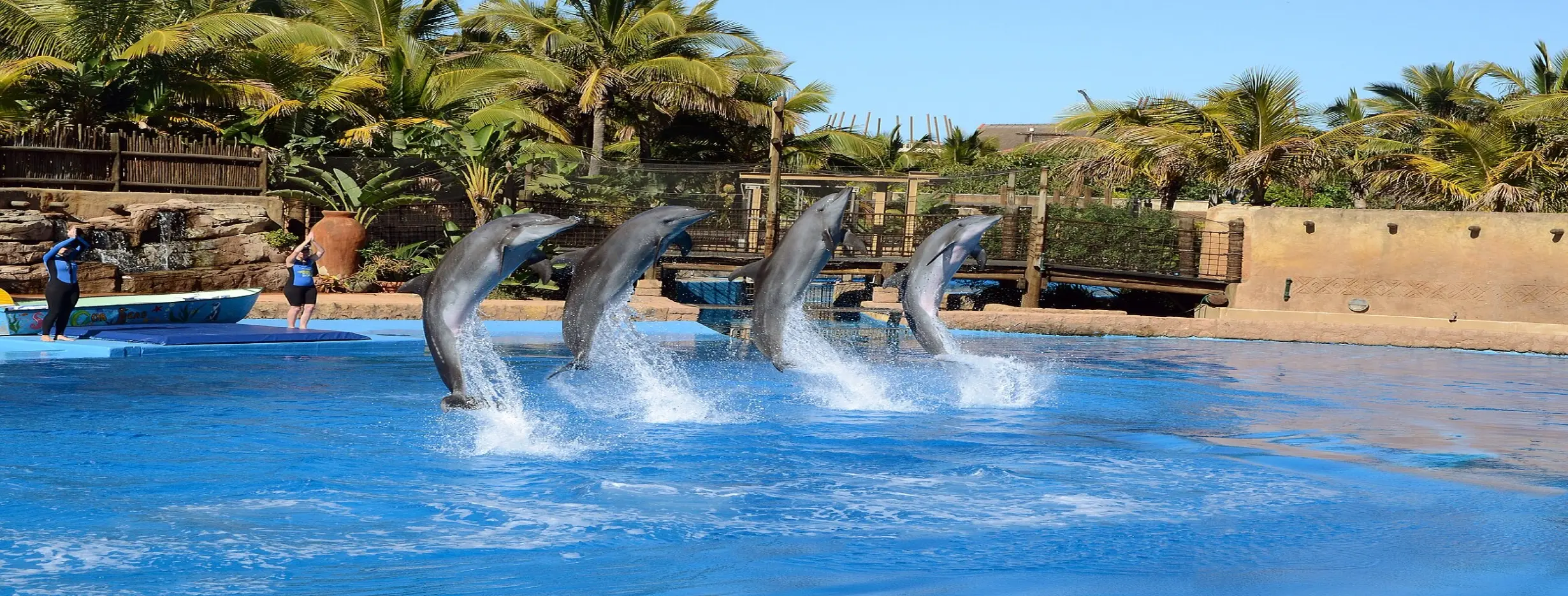 Image for uShaka Marine World